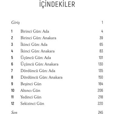 Ev Cinayetleri Temalı Polisiye Roman