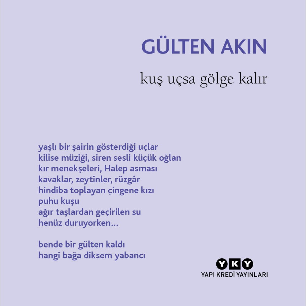 Uçuşta Olan Kuşlar ve Gölge Temalı Şiirler
