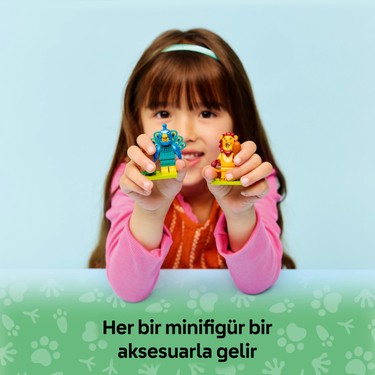 Koleksiyonluk Küçük Hayvan Figürleri, 5 Yaş ve Üzeri