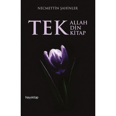 Tek Din Tek Kitap Üzerine Kapsamlı Düşünceler ve Analizler