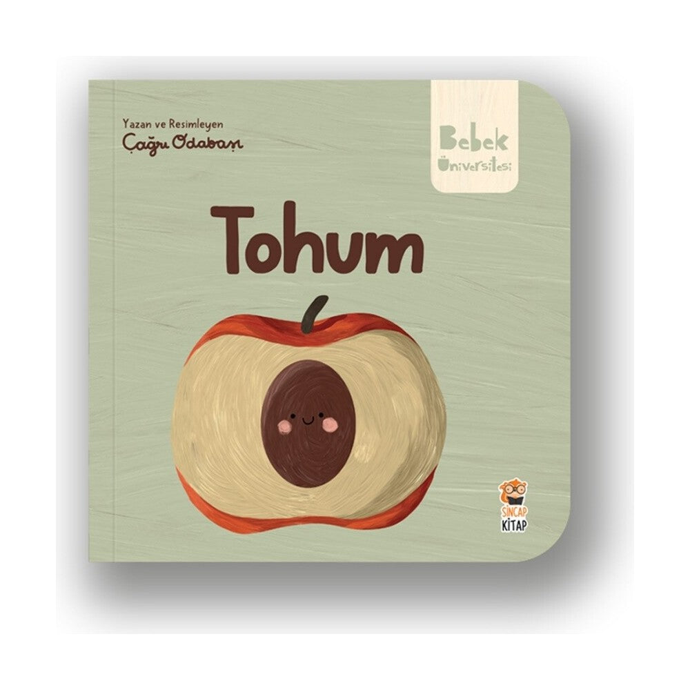 Bebek Üniversitesi: Tohum - Eğlenceli Bilimsel Keşif