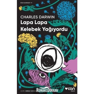 Kelebek Yağmuru: Bir Anın Sıcaklığı