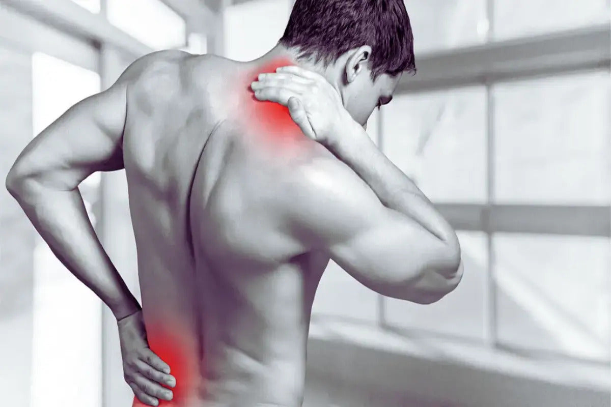 Painorub Vücut Ağrı Yönetimi Için Hızlı ve Etkili Masaj Kremi 50 ml + Çörek Otu Yağı 30 ml Hediye
