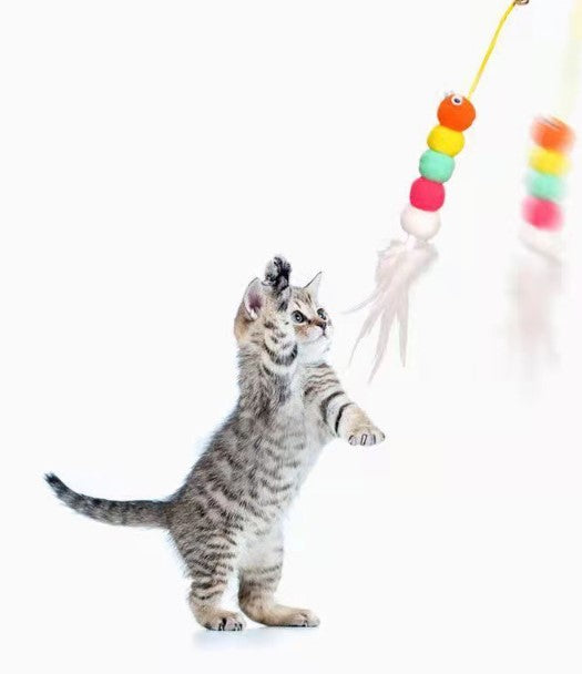 Elastik Kendinden Yapışkanlı Solucan Kedi Oltası (5643)