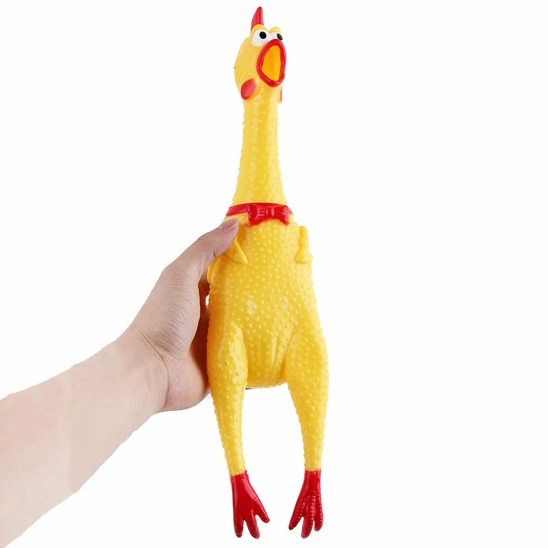Köpekler İçin