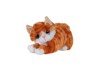 KZL-2309035 PELUŞ 30 CM JUMBO KEDİ MİYLAYAN 48