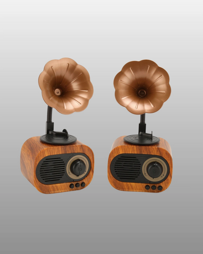 B5 RADYO