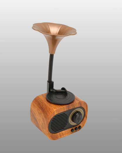B5 RADYO