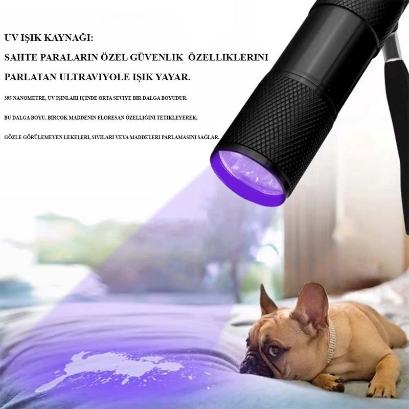 Para Kontrol Işığı Ultraviole Wt-302