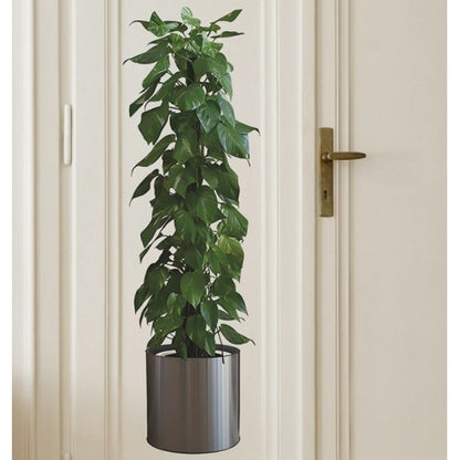 Saksılı Bitki Tasarımlı Yapışkanlı Sticker Resim 90*30 cm (5643)
