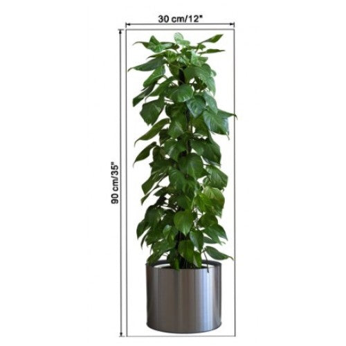 Saksılı Bitki Tasarımlı Yapışkanlı Sticker Resim 90*30 cm (5643)