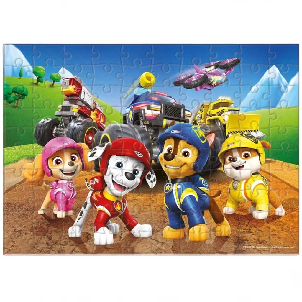 100 Parça Puzzle